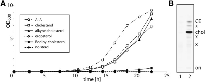 Fig. 2.