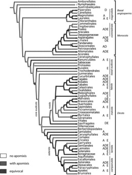 FIG. 1 