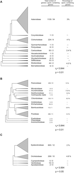 FIG. 6 