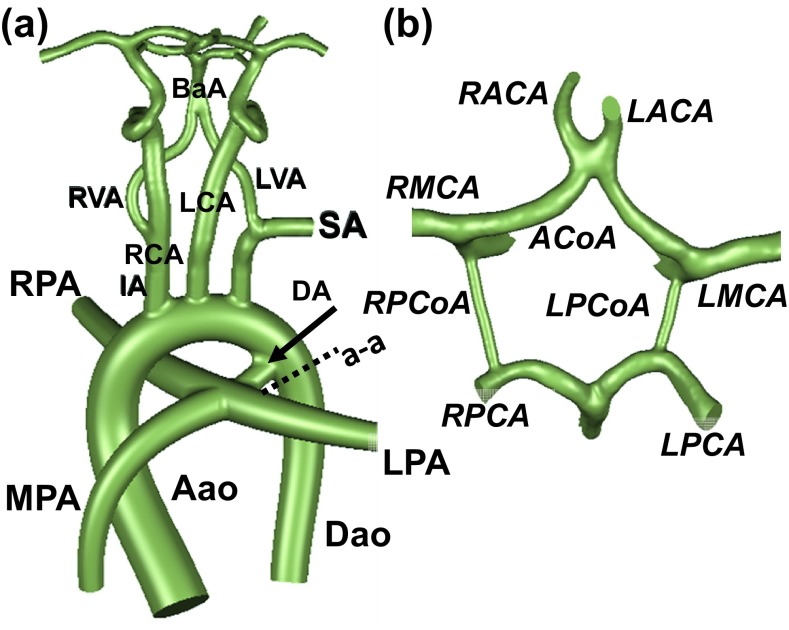 Figure 1