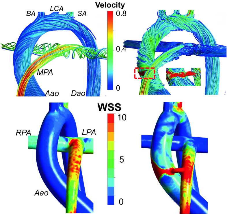 Figure 3