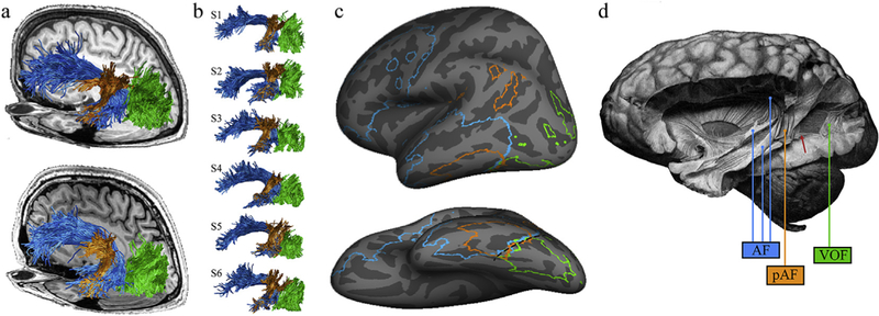 Fig. 1 –