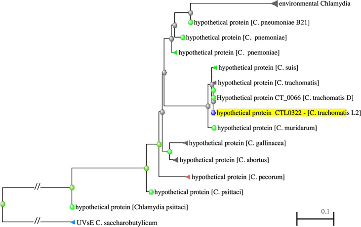 Figure 1