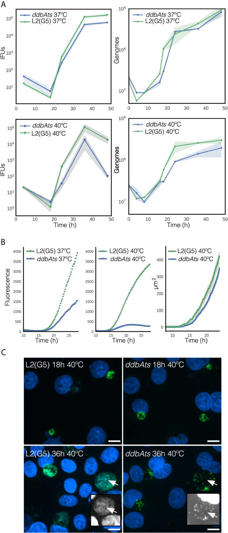 Figure 5