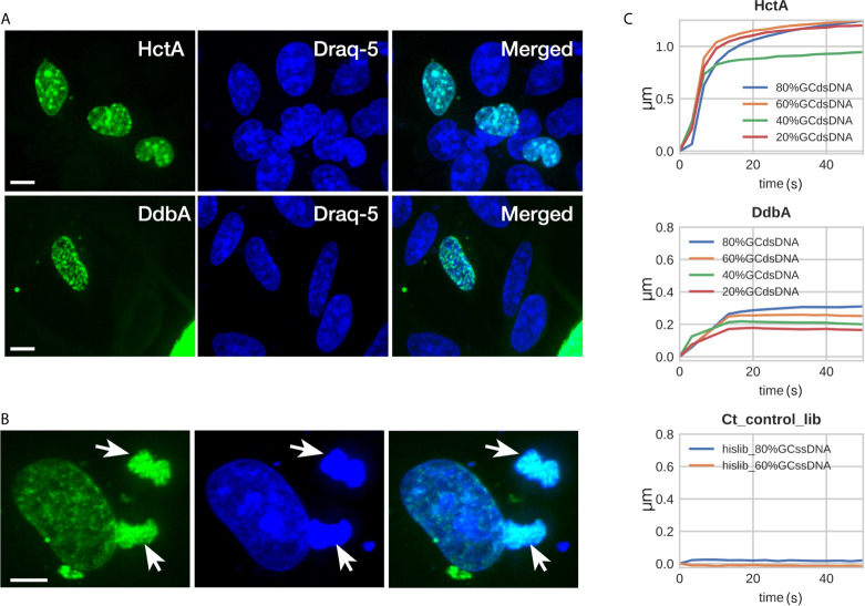 Figure 2