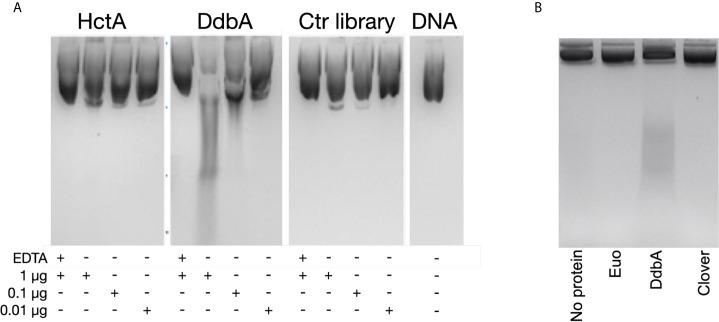 Figure 4