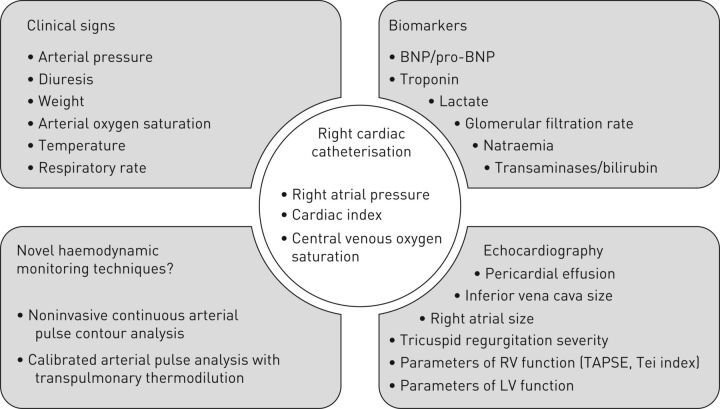 FIGURE 3