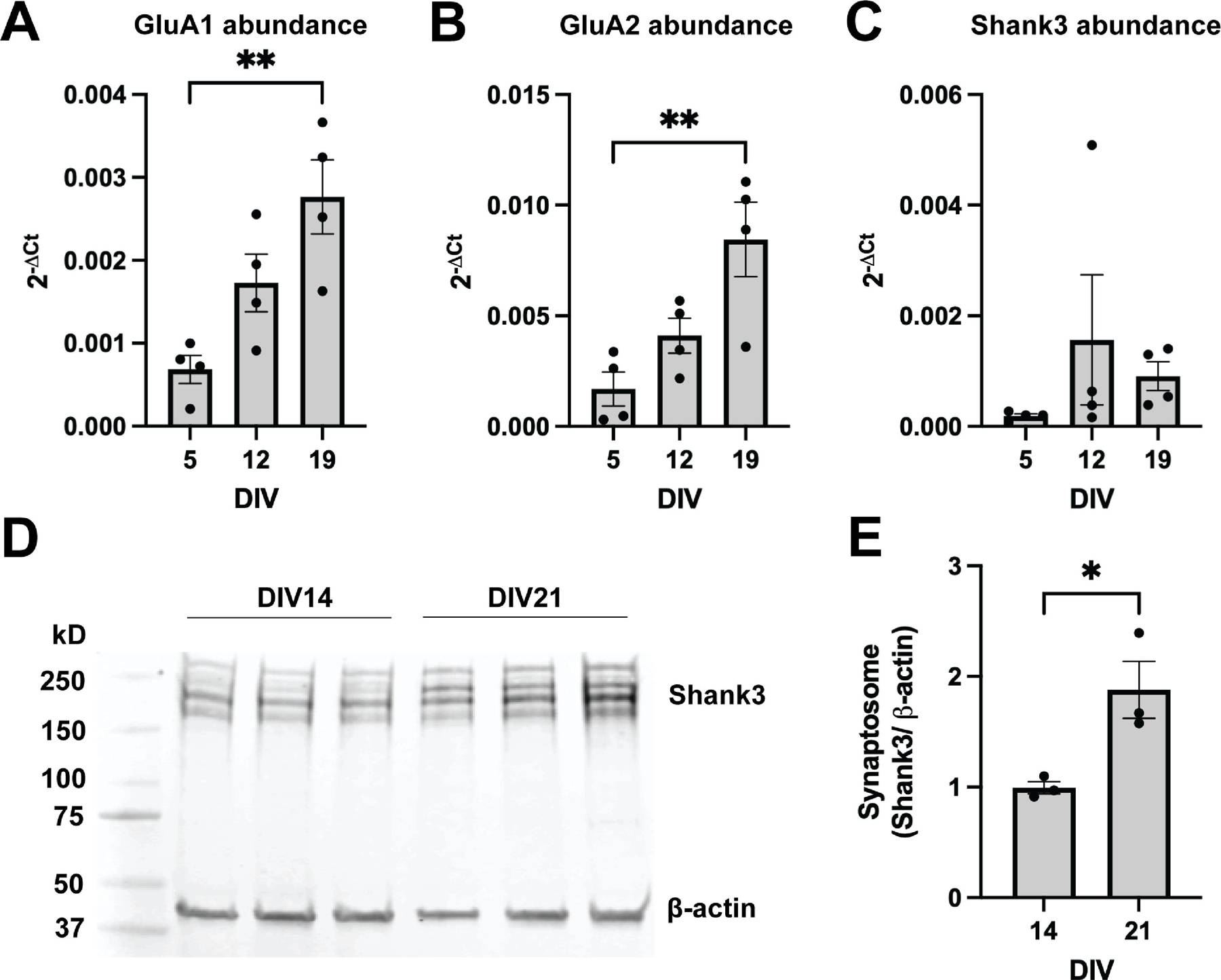 Figure 1: