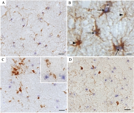 Fig. 2a–d