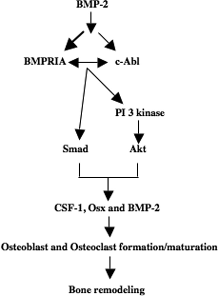 FIGURE 11.