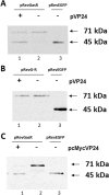Fig. 3.