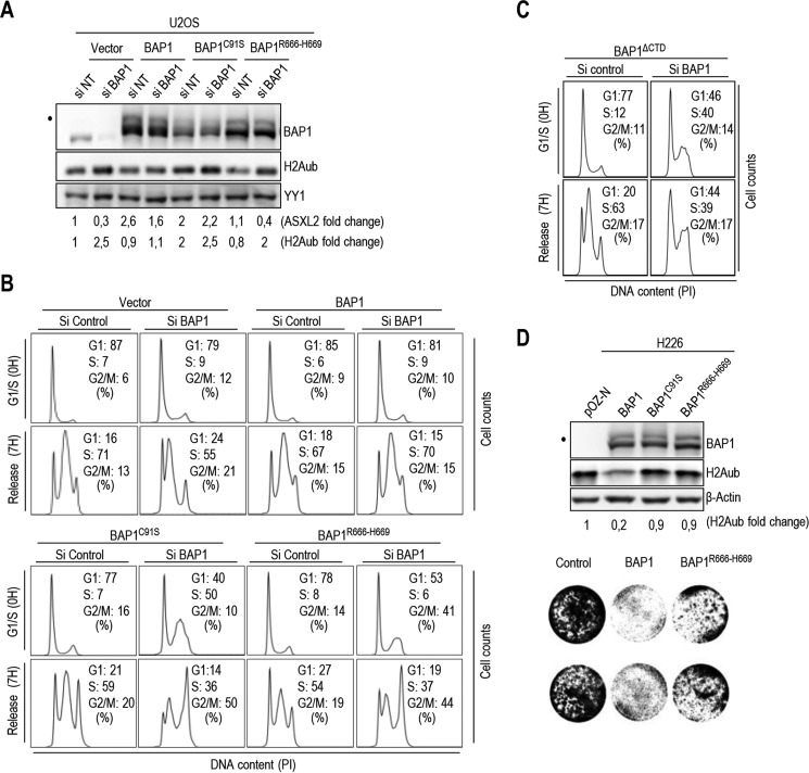 FIGURE 10.