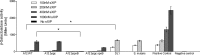 FIG 5