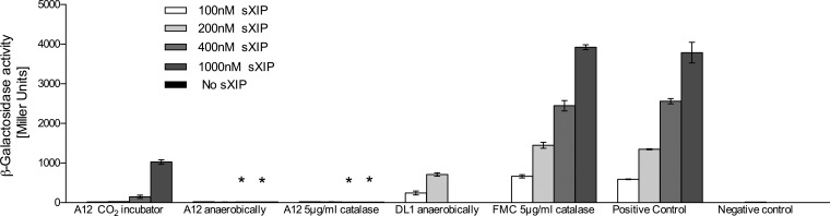 FIG 6