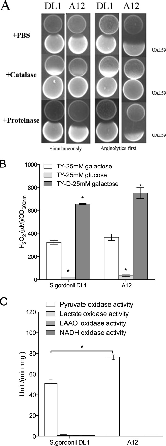 FIG 2