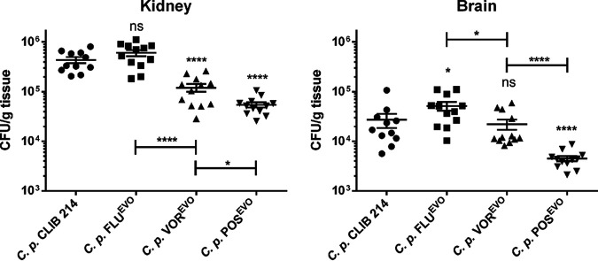 FIG 6