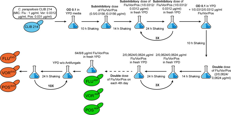 FIG 1