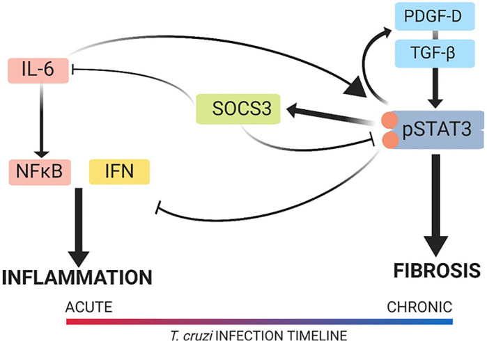 Figure 10