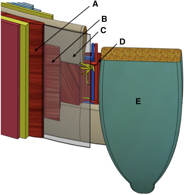 Fig. 4