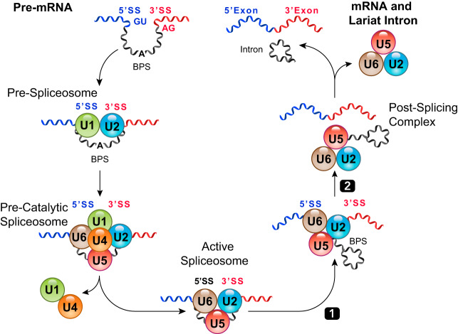 FIGURE 4.