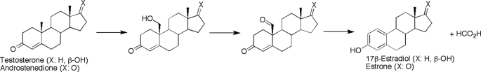 SCHEME 1.