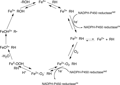 FIGURE 1.