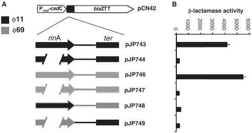 Figure 5.