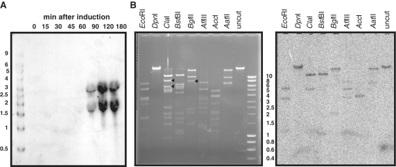 Figure 7.