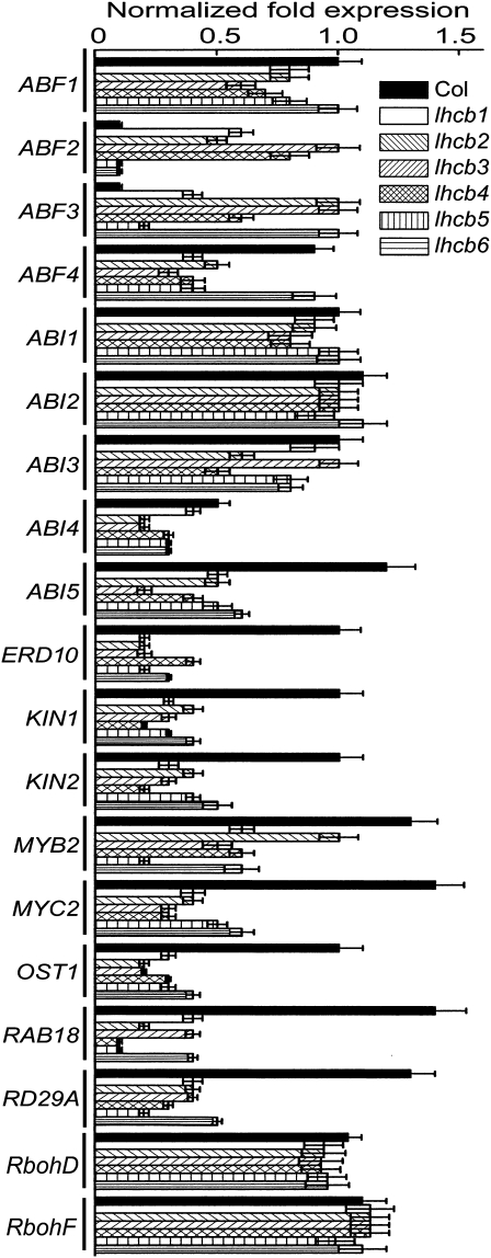 Fig. 5.