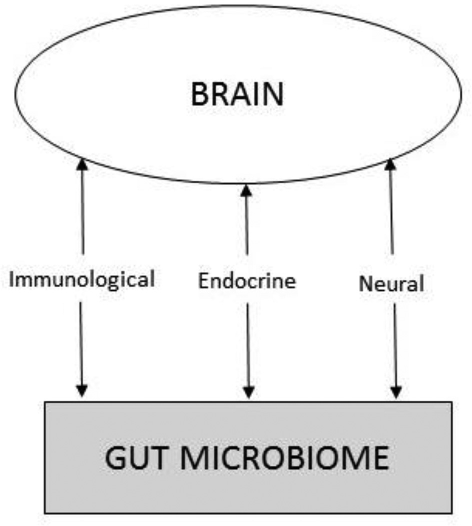 FIGURE 1