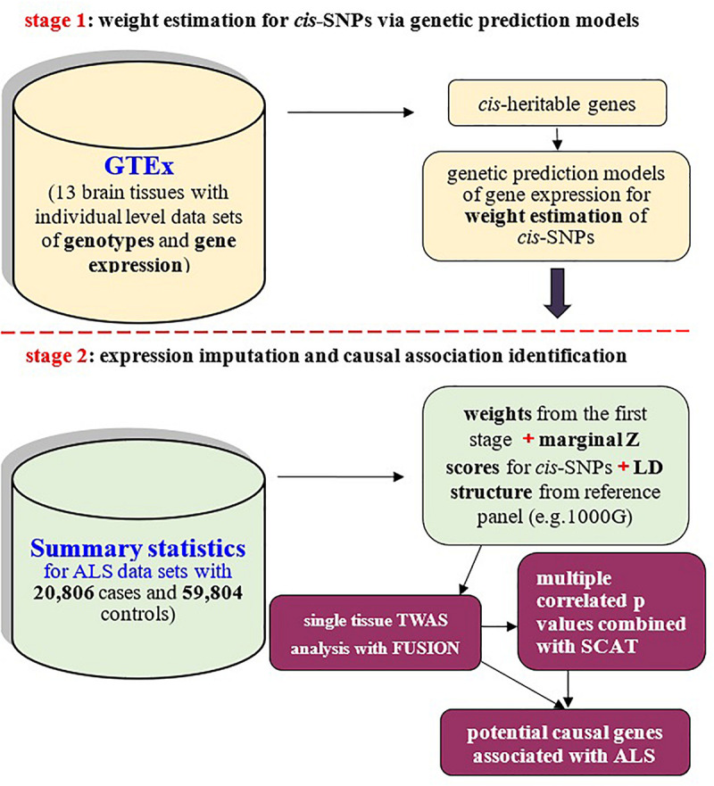 FIGURE 1