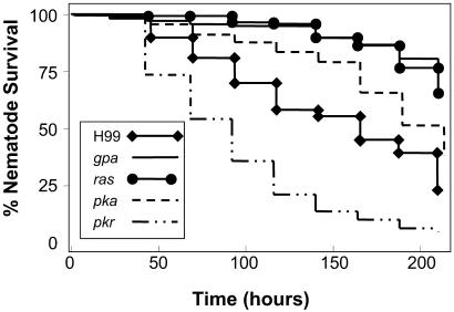 Fig 3.