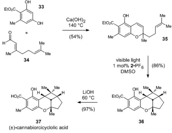 Scheme 2