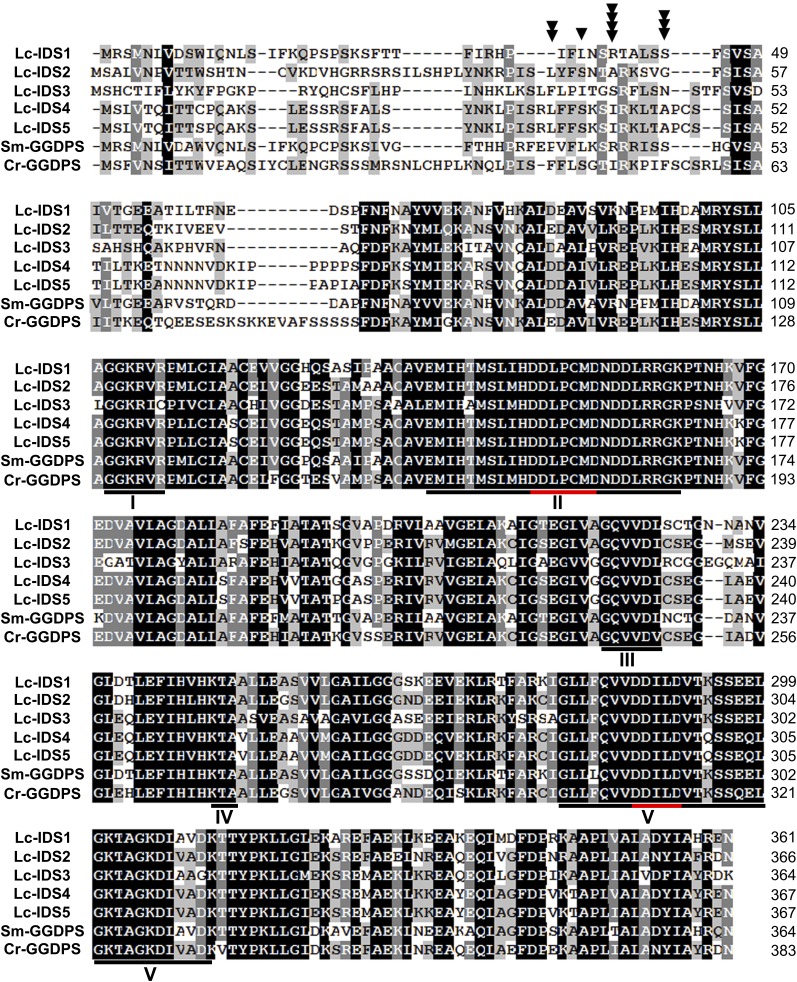 Figure 4.