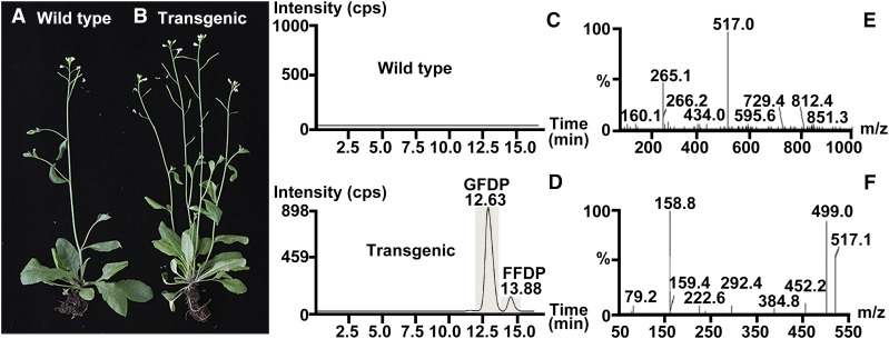 Figure 6.