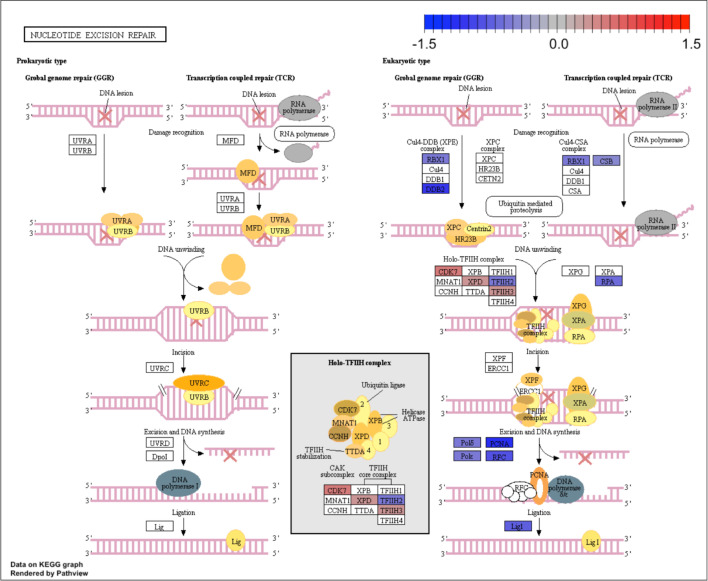 Figure 2—figure supplement 10.