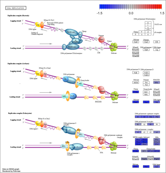 Figure 2—figure supplement 6.