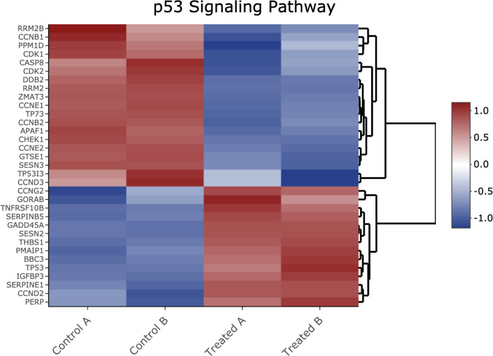 Figure 2—figure supplement 3.