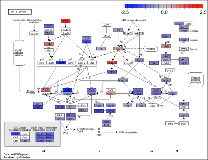 Figure 2—figure supplement 4.