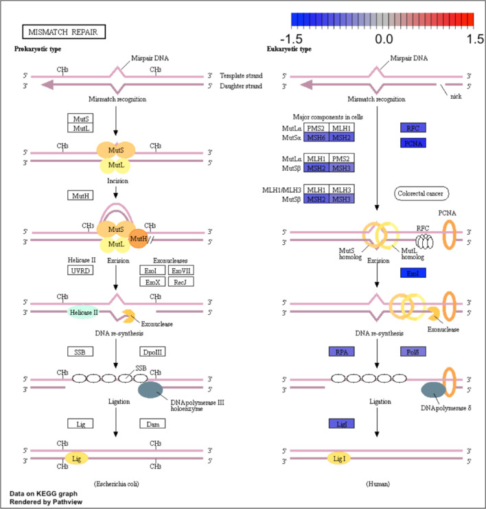 Figure 2—figure supplement 8.