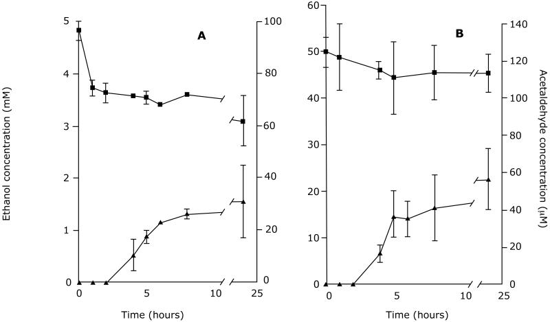 Figure 09