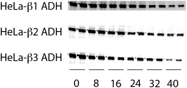 Figure 02