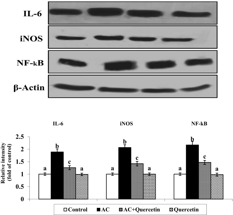 Fig. 6