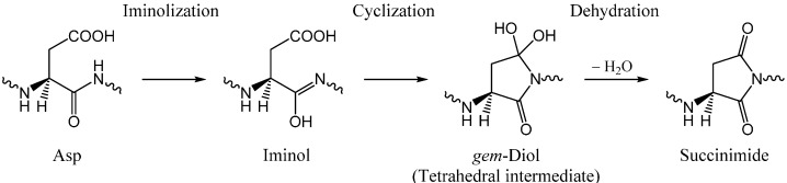 Scheme 2