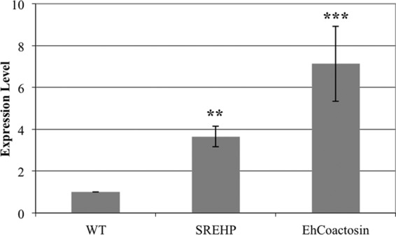 FIG 3