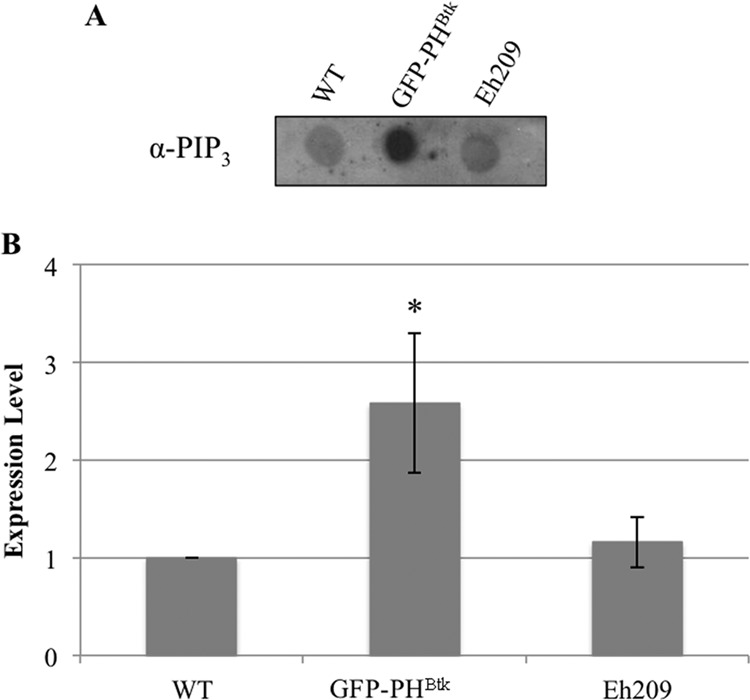 FIG 7