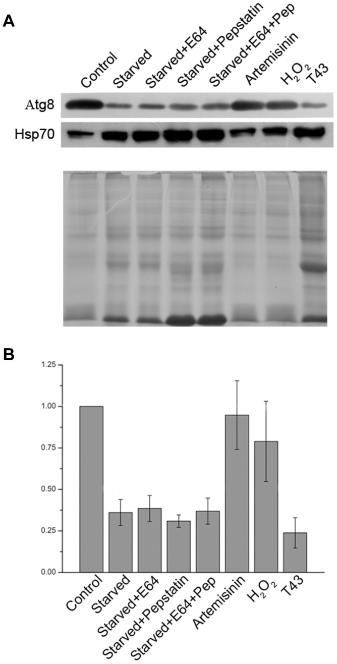 Figure 10