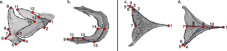 Fig. 7