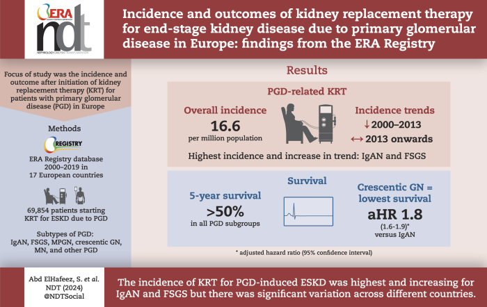 Graphical Abstract