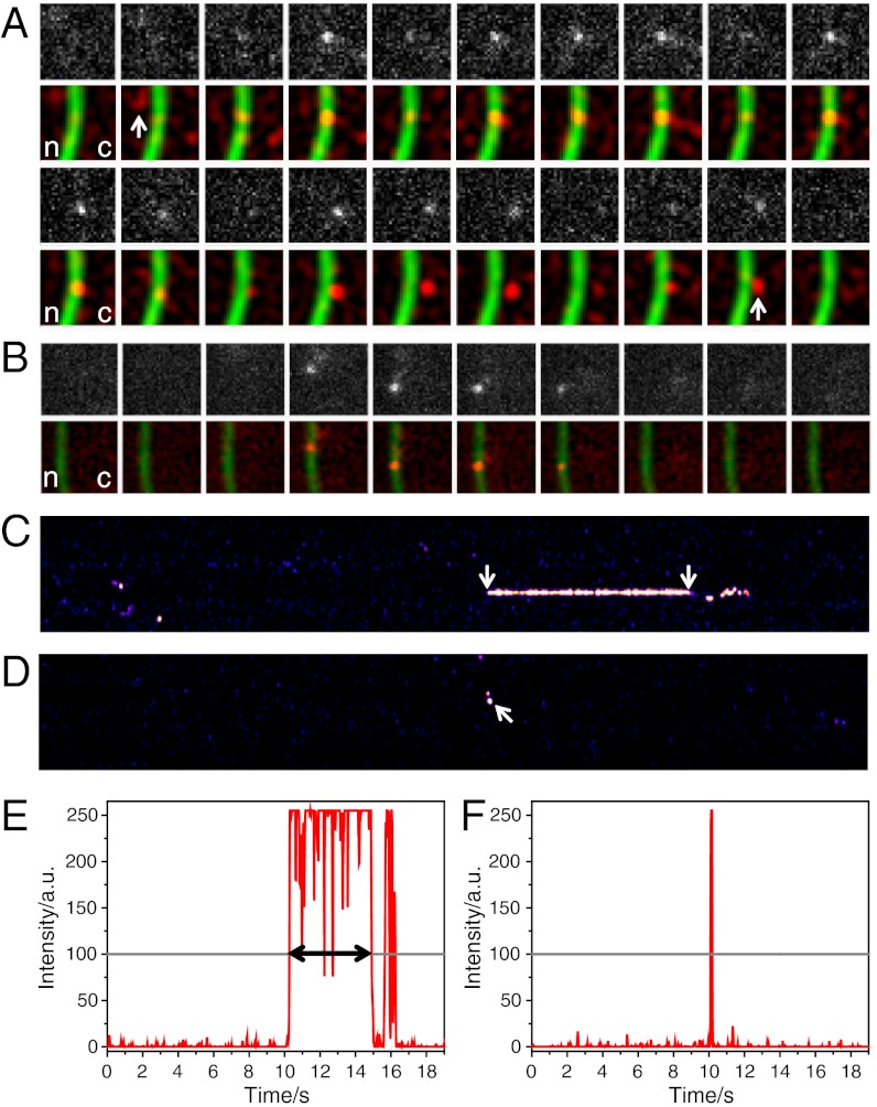 Fig. 3.